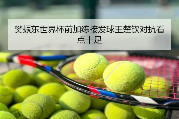 樊振东世界杯前加练接发球王楚钦对抗看点十足